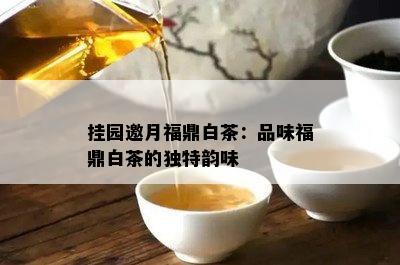 挂园邀月福鼎白茶：品味福鼎白茶的独特韵味