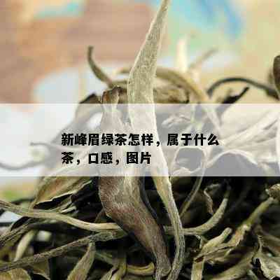 新峰眉绿茶怎样，属于什么茶，口感，图片