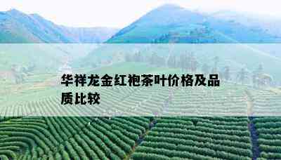 华祥龙金红袍茶叶价格及品质比较