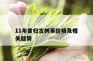 11年昔归古树茶价格及相关趋势