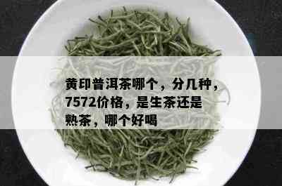 黄印普洱茶哪个，分几种，7572价格，是生茶还是熟茶，哪个好喝