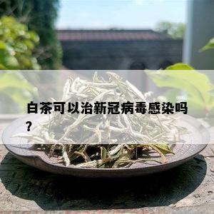 白茶可以治新冠病感染吗？