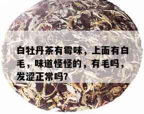 白牡丹茶有霉味，上面有白毛，味道怪怪的，有毛吗，发涩正常吗？