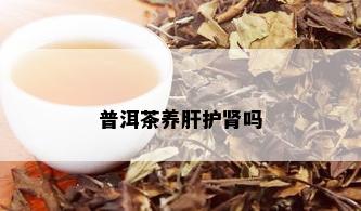 普洱茶养肝护肾吗