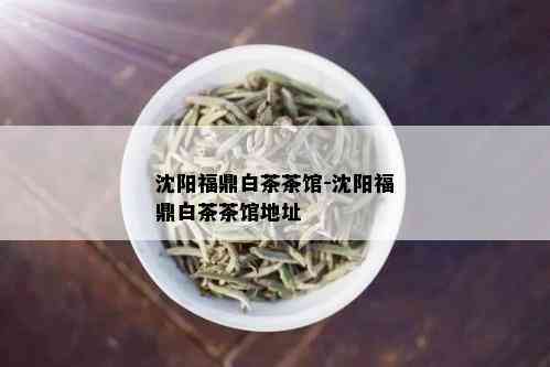 沈阳福鼎白茶茶馆-沈阳福鼎白茶茶馆地址