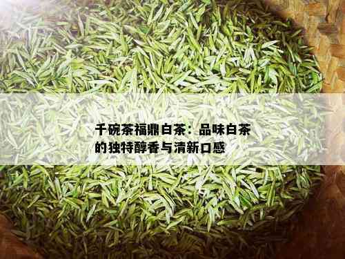 千碗茶福鼎白茶：品味白茶的独特醇香与清新口感