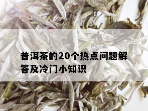 普洱茶的20个热点问题解答及冷门小知识