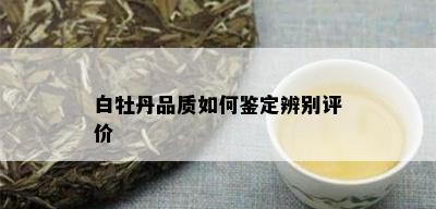 白牡丹品质如何鉴定辨别评价