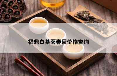 福鼎白茶茗春园价格查询