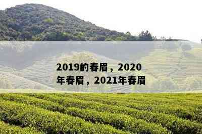 2019的春眉，2020年春眉，2021年春眉