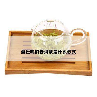 曼松喝的普洱茶是什么款式