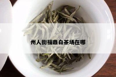 州人街福鼎白茶场在哪