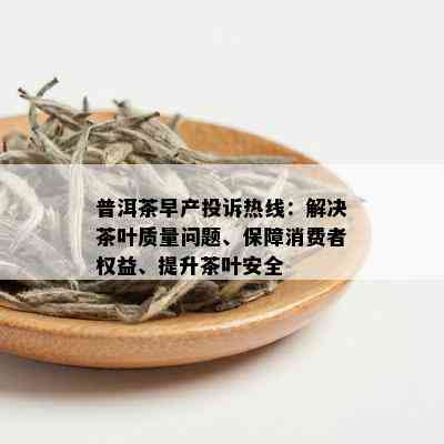 普洱茶早产投诉热线：解决茶叶质量问题、保障消费者权益、提升茶叶安全