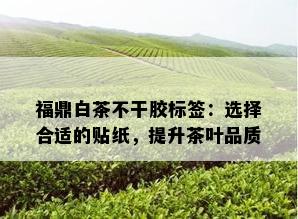 福鼎白茶不干胶标签：选择合适的贴纸，提升茶叶品质