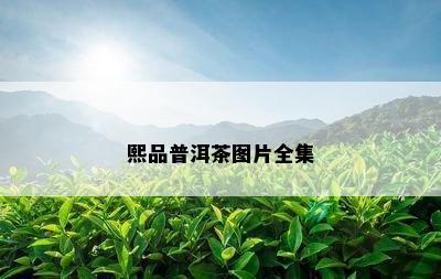 熙品普洱茶图片全集