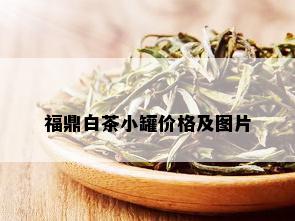 福鼎白茶小罐价格及图片