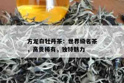 方龙白牡丹茶：世界级名茶，高贵稀有，独特魅力