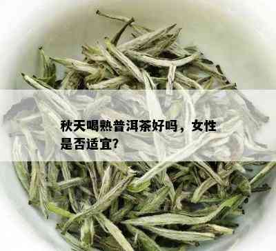 秋天喝熟普洱茶好吗，女性是否适宜？