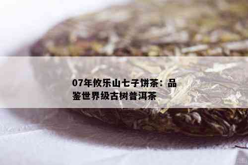 07年攸乐山七子饼茶：品鉴世界级古树普洱茶