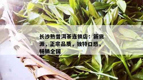 长沙熟普洱茶连锁店：新货源，正宗品质，独特口感，畅销全国