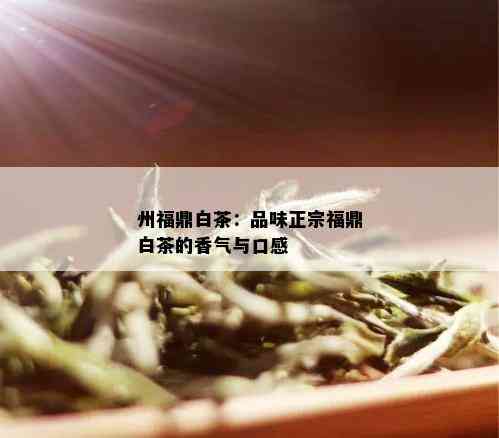 州福鼎白茶：品味正宗福鼎白茶的香气与口感