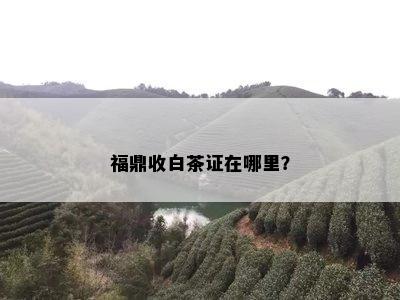 福鼎收白茶证在哪里？