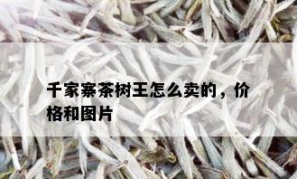 千家寨茶树王怎么卖的，价格和图片