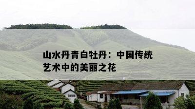 山水丹青白牡丹：中国传统艺术中的美丽之花