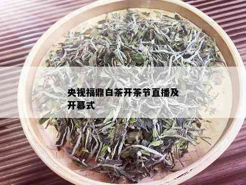 央视福鼎白茶开茶节直播及开幕式