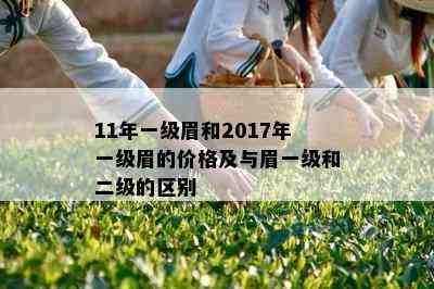 11年一级眉和2017年一级眉的价格及与眉一级和二级的区别