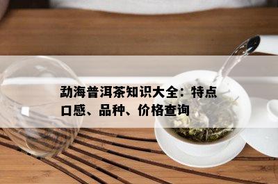 勐海普洱茶知识大全：特点口感、品种、价格查询