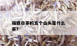 福鼎白茶的五个山头是什么茶？