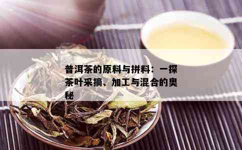 普洱茶的原料与拼料：一探茶叶采摘、加工与混合的奥秘