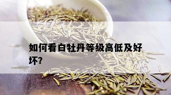 如何看白牡丹等级高低及好坏？