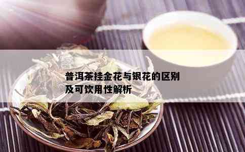 普洱茶挂金花与银花的区别及可饮用性解析