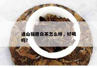 通山福鼎白茶怎么样，好喝吗？