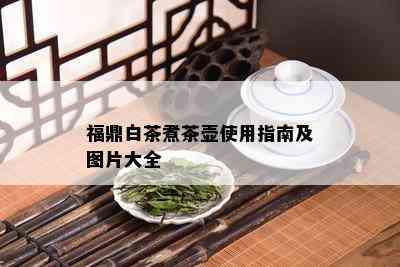 福鼎白茶煮茶壶使用指南及图片大全