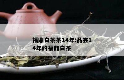 福鼎白茶茶14年:品尝14年的福鼎白茶