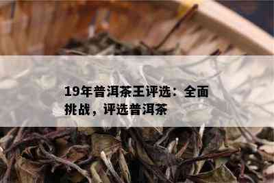 19年普洱茶王评选：全面挑战，评选普洱茶