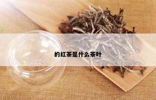 的红茶是什么茶叶