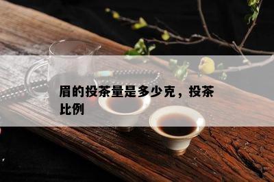 眉的投茶量是多少克，投茶比例