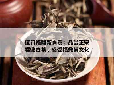 厦门福鼎新白茶：品尝正宗福鼎白茶，感受福鼎茶文化