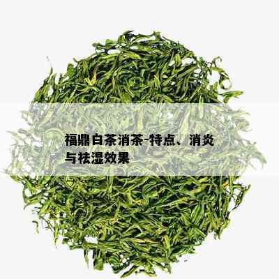 福鼎白茶消茶-特点、消炎与祛湿效果