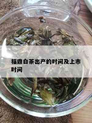 福鼎白茶出产的时间及上市时间