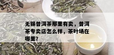 无锡普洱茶那里有卖，普洱茶专卖店怎么样，茶叶场在哪里？