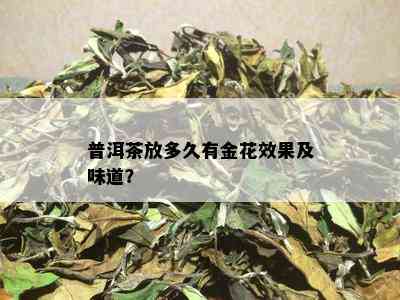 普洱茶放多久有金花效果及味道？