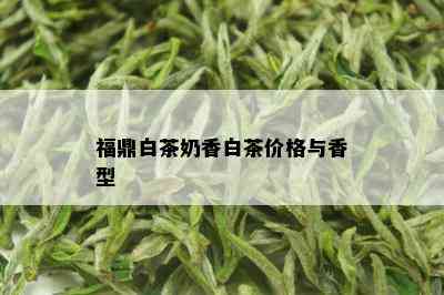 福鼎白茶奶香白茶价格与香型