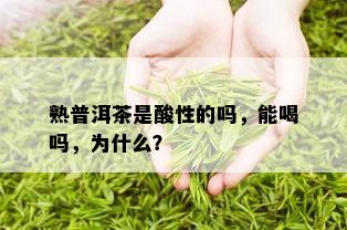 熟普洱茶是酸性的吗，能喝吗，为什么？