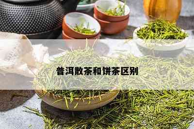 普洱散茶和饼茶区别