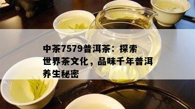 中茶7579普洱茶：探索世界茶文化，品味千年普洱养生秘密